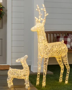 Balsam Hill Outdoor Lit LED Wintry Wonder Friends Online