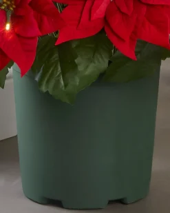 Balsam Hill Outdoor Lit Poinsettia Celebration Foliage Discount