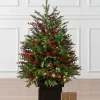 Balsam Hill Outdoor Red Berry Evergreen Potted Trees New