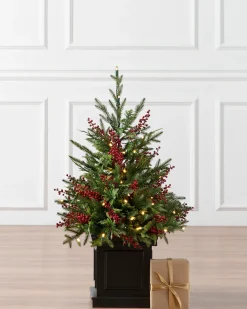 Balsam Hill Outdoor Red Berry Evergreen Potted Trees New