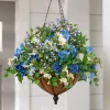 Balsam Hill Outdoor Seaside Cottage Foliage Clearance