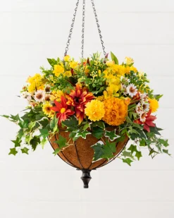 Balsam Hill Outdoor Sunrise Dahlia Foliage Sale