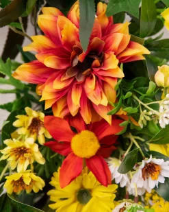 Balsam Hill Outdoor Sunrise Dahlia Foliage Sale