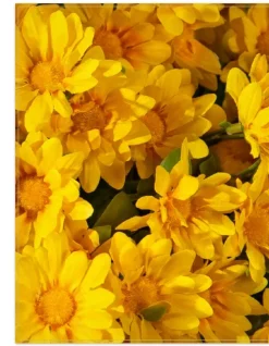 Balsam Hill Outdoor Sunset Mums Foliage New