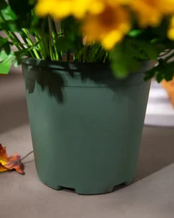 Balsam Hill Outdoor Sunset Mums Foliage New