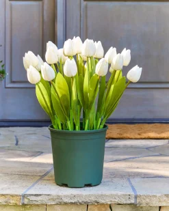 Balsam Hill Outdoor Tulip Garden Foliage Sale