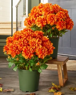 Balsam Hill Outdoor Vibrant Dahlias Foliage Clearance