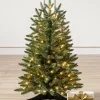 Balsam Hill Poconos Pine Mini Trees Hot