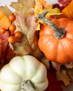 Balsam Hill Pumpkin Patch & Berry Foliage Best