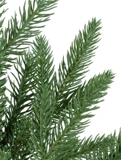 Balsam Hill Red Spruce Trees Clearance