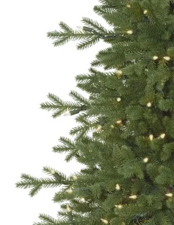 Balsam Hill Red Spruce Trees Clearance