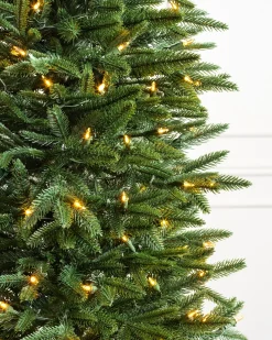 Balsam Hill Revelstoke Fir® Trees Discount