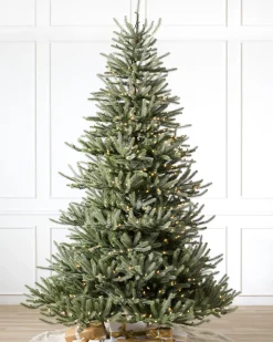 Balsam Hill Sanibel Spruce Trees