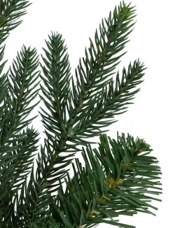 Balsam Hill Saratoga Spruce Trees Hot