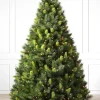 Balsam Hill Scotch Pine Trees Best