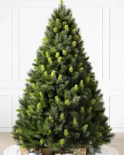 Balsam Hill Scotch Pine Trees Best