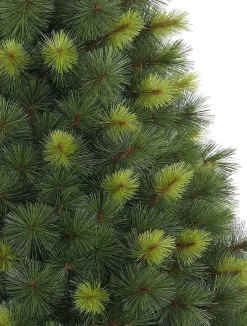 Balsam Hill Scotch Pine Trees Best
