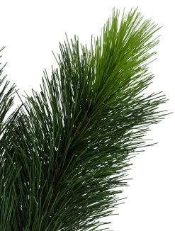 Balsam Hill Scotch Pine Trees Best