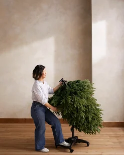 Balsam Hill Silverado Slim® Trees Online