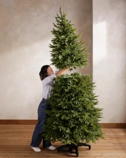 Balsam Hill Silverado Slim® Trees Online