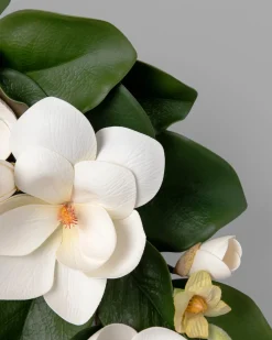 Balsam Hill Spring Magnolia Foliage