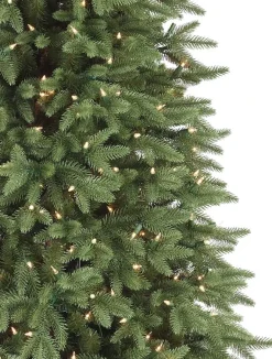 Balsam Hill Stratford Spruce Trees