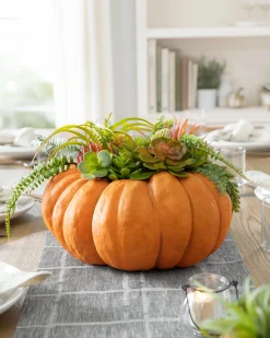 Balsam Hill Succulent Harvest Pumpkin Foliage New