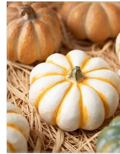 Balsam Hill Tabletop Heirloom Pumpkins Online