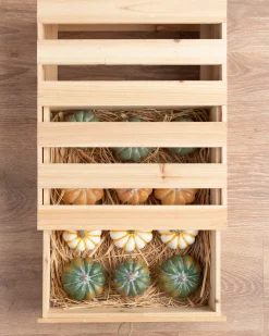 Balsam Hill Tabletop Heirloom Pumpkins Online