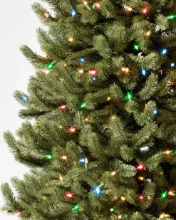 Balsam Hill Vermont White Spruce® Trees Outlet