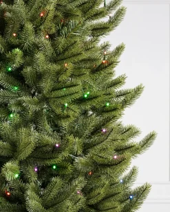Balsam Hill Vermont White Spruce® Trees Outlet