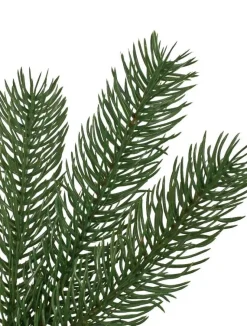 Balsam Hill Woodland Spruce Trees Hot