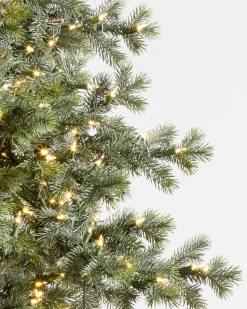 Balsam Hill Yukon Spruce® Trees Hot
